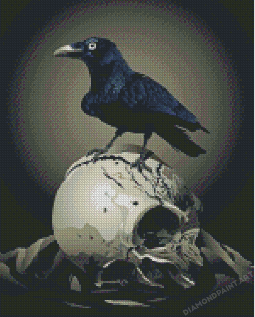 Crow And Skull Diamond Painting