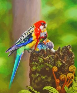 Eastern Rosella Bird Diamond Painting