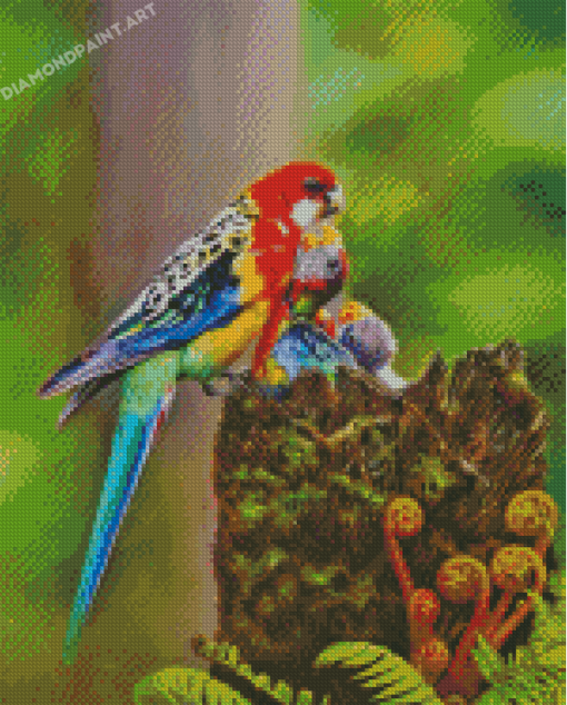 Eastern Rosella Bird Diamond Painting