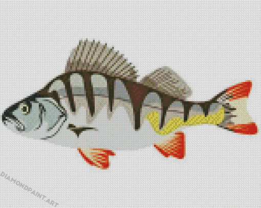 European Perch Fish Art Diamond Painting