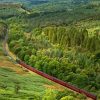 Goathland Train Landscape Diamond Painting