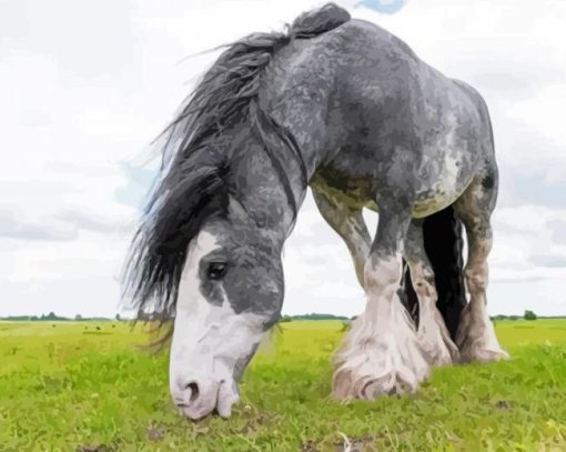 Grey And White Draft Horse Diamond Painting