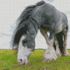 Grey And White Draft Horse Diamond Painting