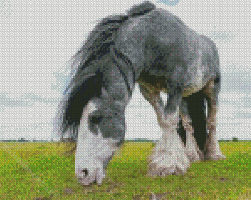 Grey And White Draft Horse Diamond Painting