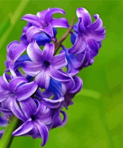 Hyacinth Purple Flowers Diamond Painting