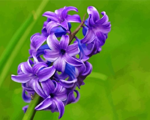 Hyacinth Purple Flowers Diamond Painting