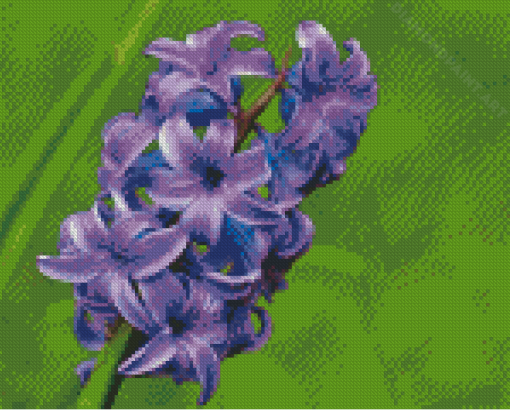 Hyacinth Purple Flowers Diamond Painting