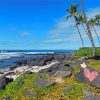 Kailua Kona Beach Rocks Diamond Painting