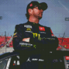 Kurt Busch Diamond Painting