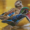 Male And Female Wood Ducks Diamond Painting