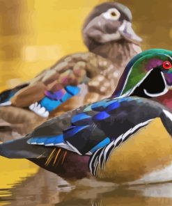 Male And Female Wood Ducks Diamond Painting