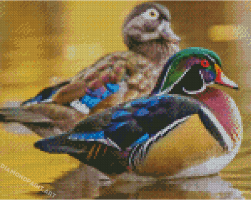 Male And Female Wood Ducks Diamond Painting