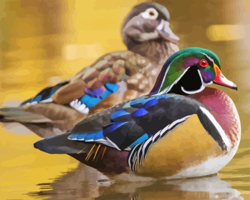 Male And Female Wood Ducks Diamond Painting