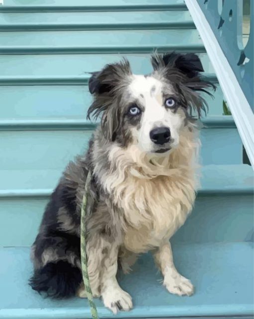 Mini Australian Shepherd Diamond Painting