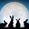 Moon Hares Silhouette Diamond Painting