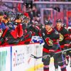 Ottawa Senators Team Diamond Painting