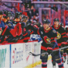 Ottawa Senators Team Diamond Painting