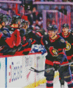 Ottawa Senators Team Diamond Painting