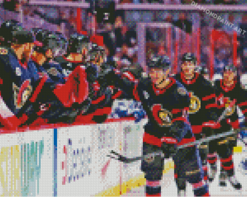 Ottawa Senators Team Diamond Painting