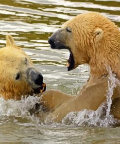 Polar Bears In Water Diamond Painting