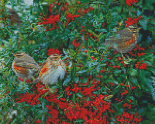 Redwing Birds Diamond Painting