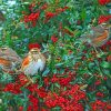 Redwing Birds Diamond Painting