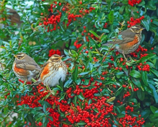 Redwing Birds Diamond Painting