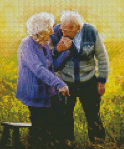 Romantic Old Couple Diamond Painting