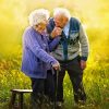 Romantic Old Couple Diamond Painting