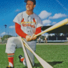 Stan Musial Stan The Man Diamond Painting