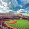 Target Field Diamond Painting