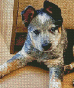 Texas Heeler Puppy Dog Diamond Painting