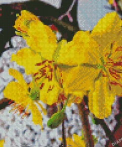 The Yellow Blossom Diamond Painting