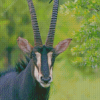 The Sable Antelope Animal Diamond Painting