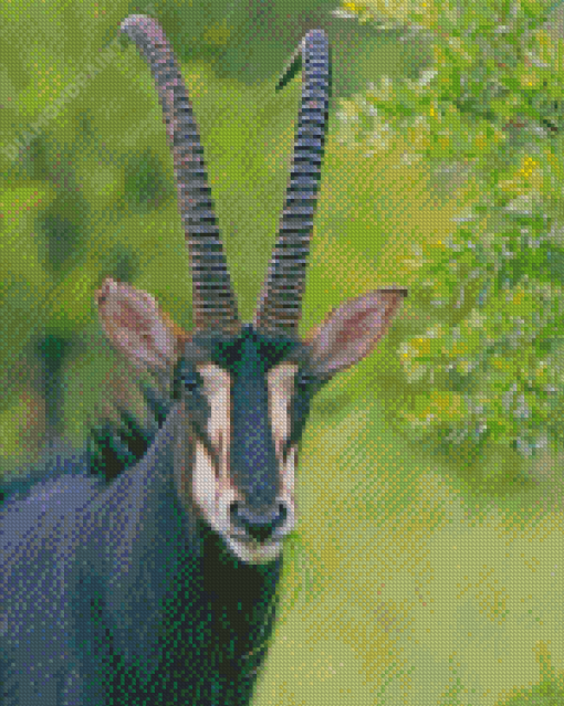 The Sable Antelope Animal Diamond Painting