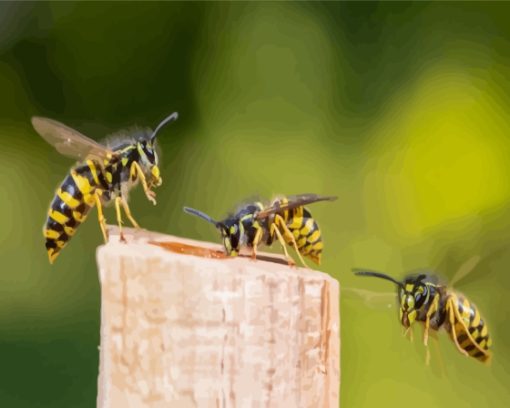 Three Yellowjackets Diamond Painting