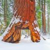 Tree Tunnel In Snow Diamond Painting