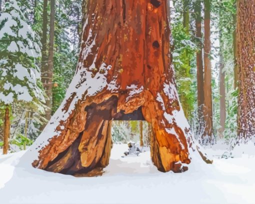 Tree Tunnel In Snow Diamond Painting