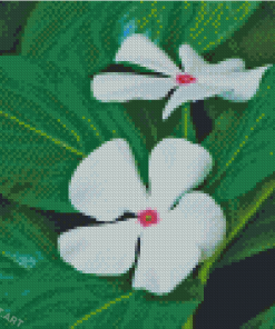 White Periwinkles Diamond Painting