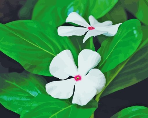 White Periwinkles Diamond Painting