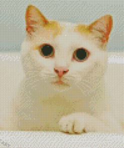 White Cat Shower Time Diamond Painting