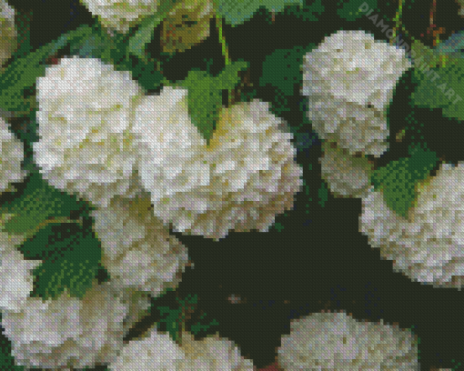 White Hydrangeas Flowering Diamond Painting