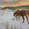 Wild Ponies On Assateague Island Diamond Painting