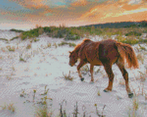 Wild Ponies On Assateague Island Diamond Painting