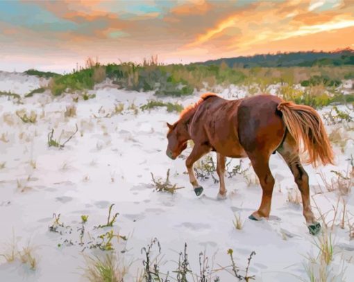 Wild Ponies On Assateague Island Diamond Painting