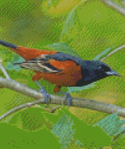 Aesthetic Orchard Oriole Diamond Painting