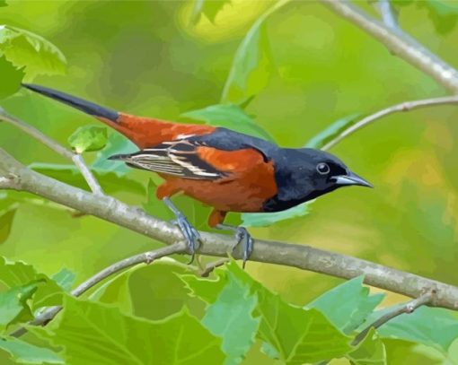 Aesthetic Orchard Oriole Diamond Painting