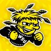 Wichita State Shockers Basketball Diamond Painting