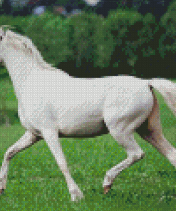 Aesthetic White Horse Diamond Painting