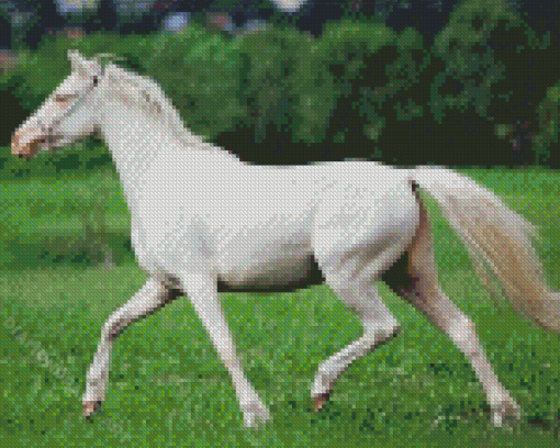 Aesthetic White Horse Diamond Painting